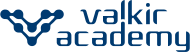 logo-valkir-academy